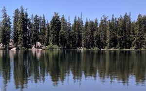 Summit Lake Forest
