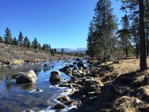Truckee River Legacy