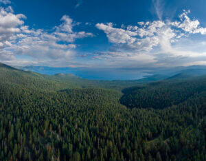 Forest Futures Tahoe Truckee Community Foundation Braddock Philanthropies