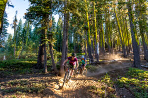 Mountain Biking Forest Impact Investing