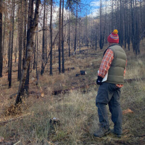 Careers Tahoe Firefighter Wildland Scientist Timber Wood