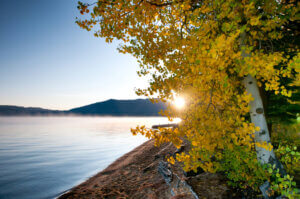 Tahoe Truckee Donner Lake California Fall Color Aspens