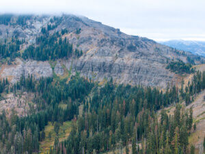 Sugar Bowl Ski Resort Forest Futures Biomass