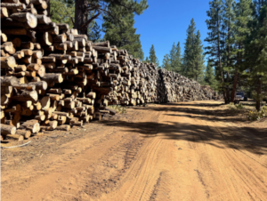 Alpenglow Timber Sawmill Facility