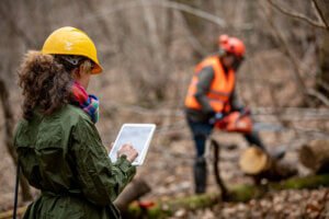 forest management